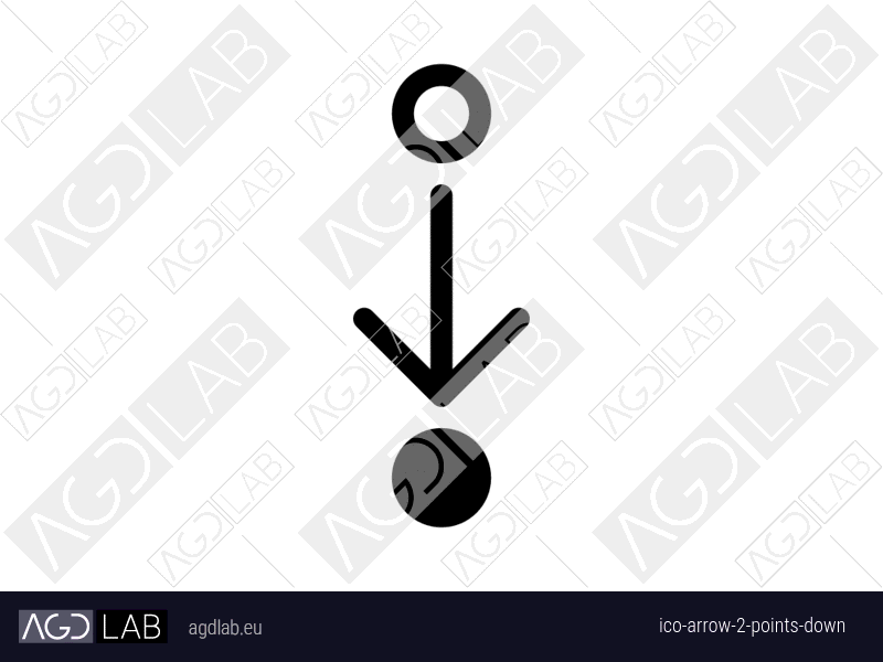 Arrow 2 points down icon