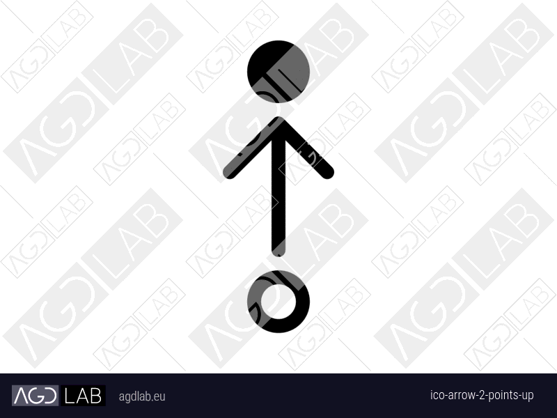 Arrow 2 points up icon