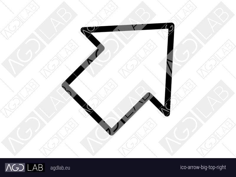 Arrow big top right icon