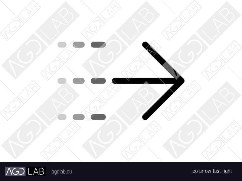 Arrow fast right icon