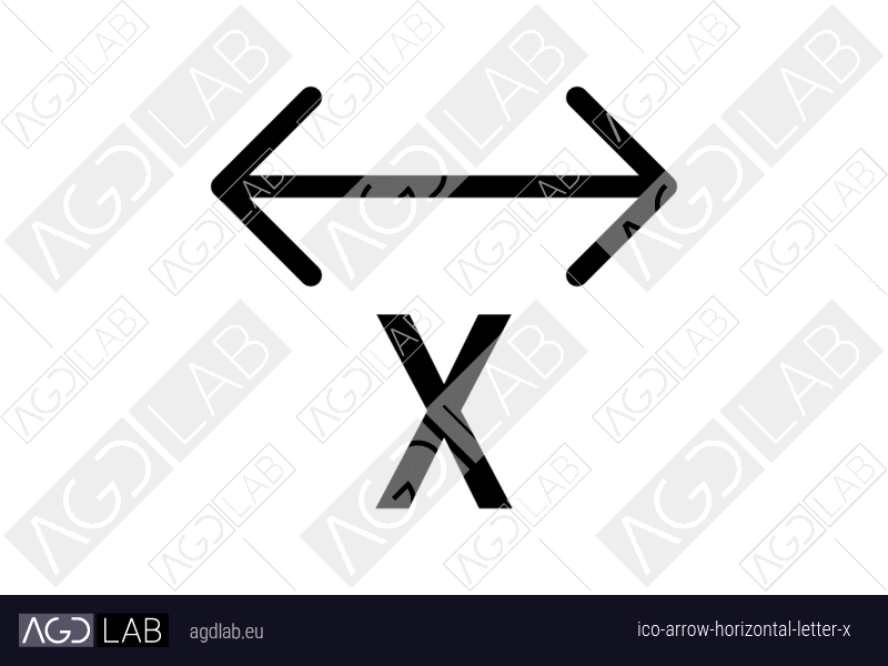 Arrow horizontal letter X icon