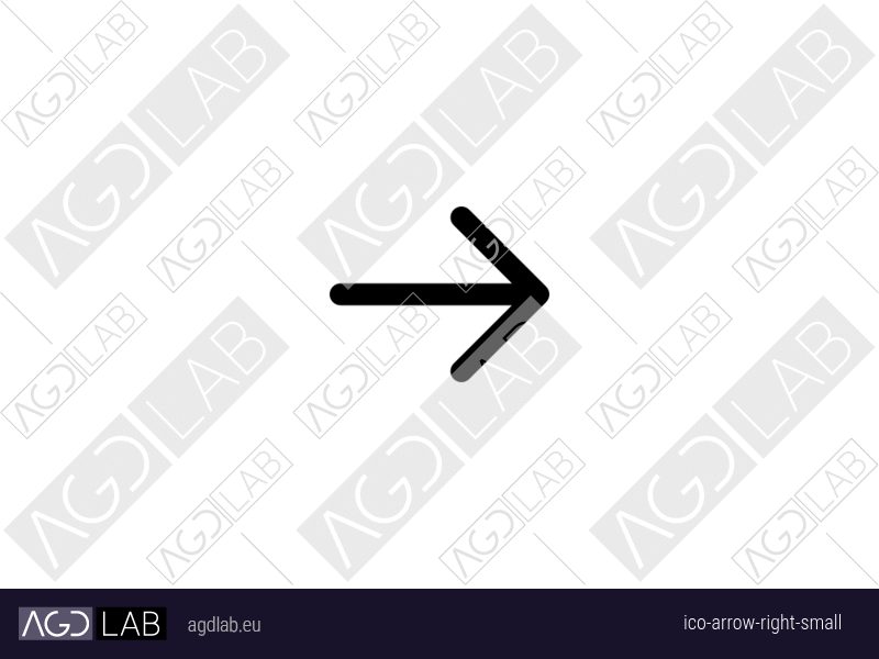Arrow right small icon