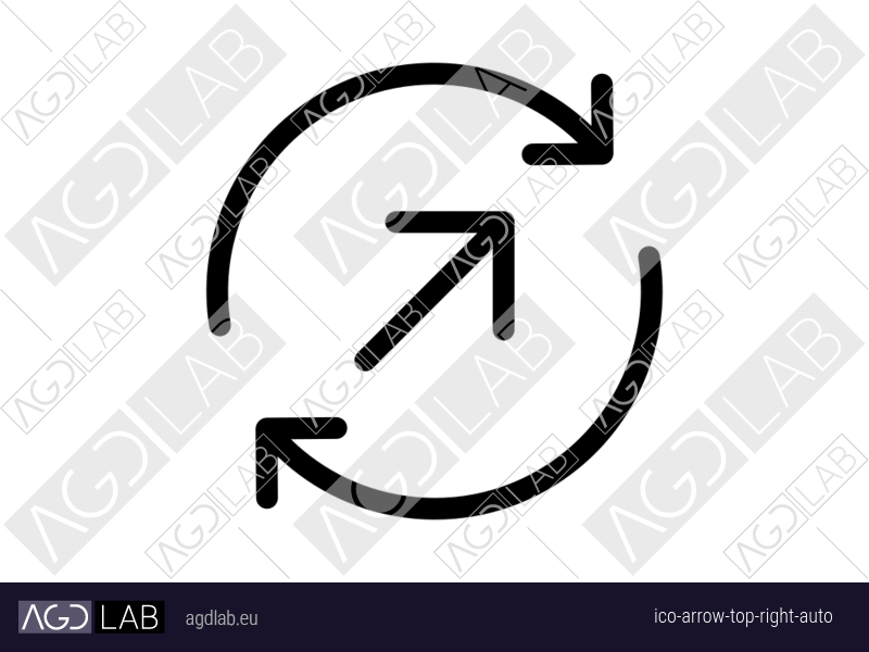 Arrow top right auto icon