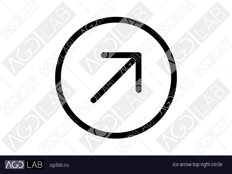 Arrow top right circle icon