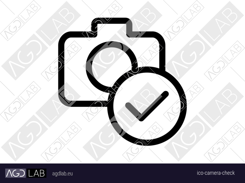 Camera check icon
