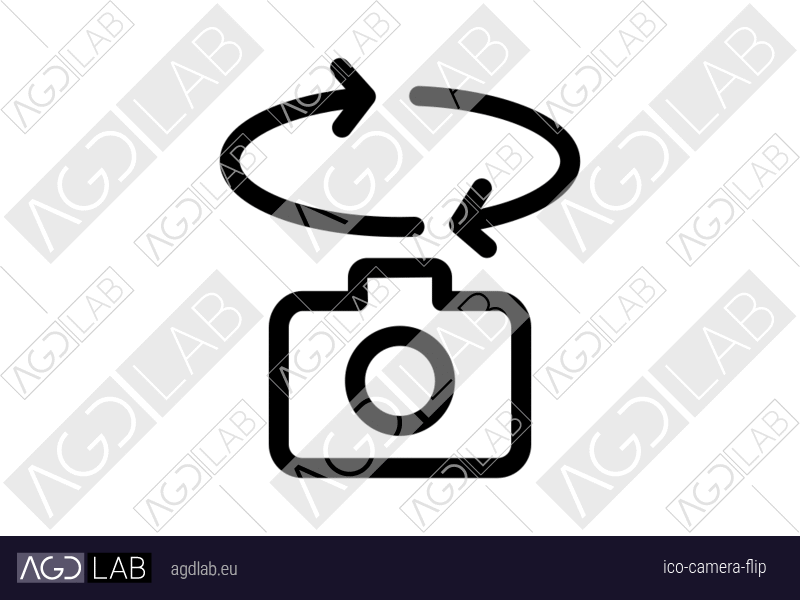Camera flip icon