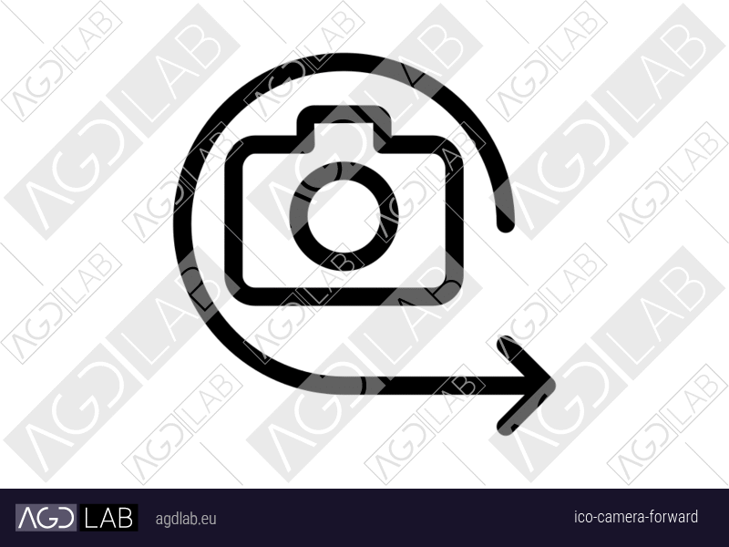 Camera forward icon