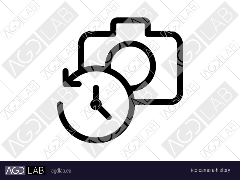 Camera history icon