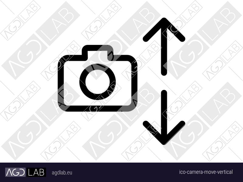 Camera move vertical icon