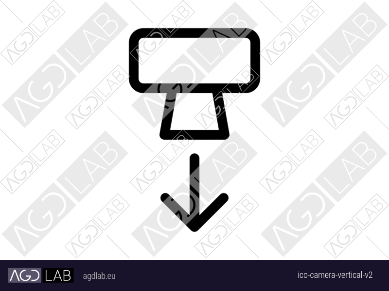 Camera vertical alternative version icon