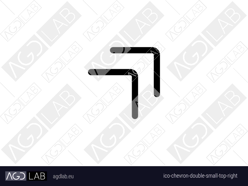 Chevron double small top right icon