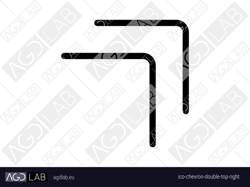 Chevron double top right icon