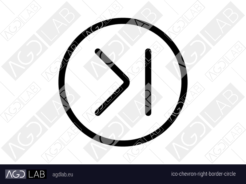 Chevron right border circle icon