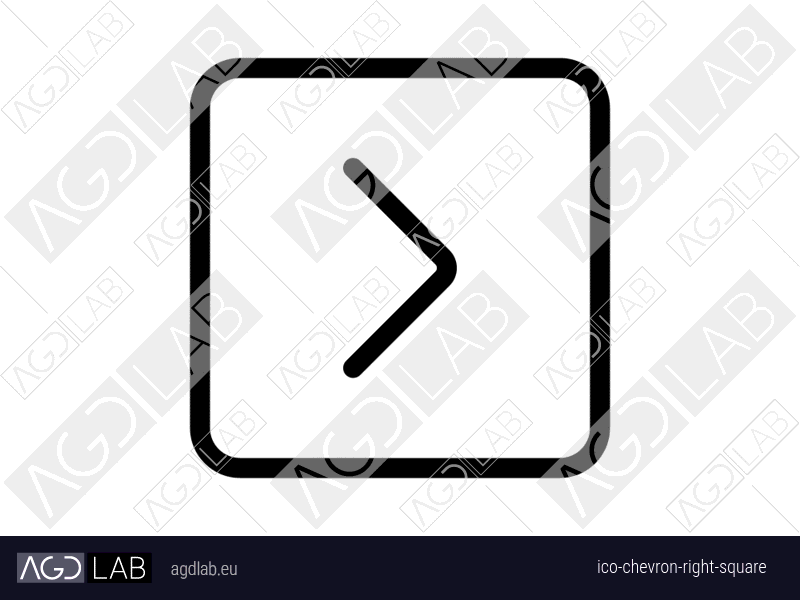 Chevron right square icon