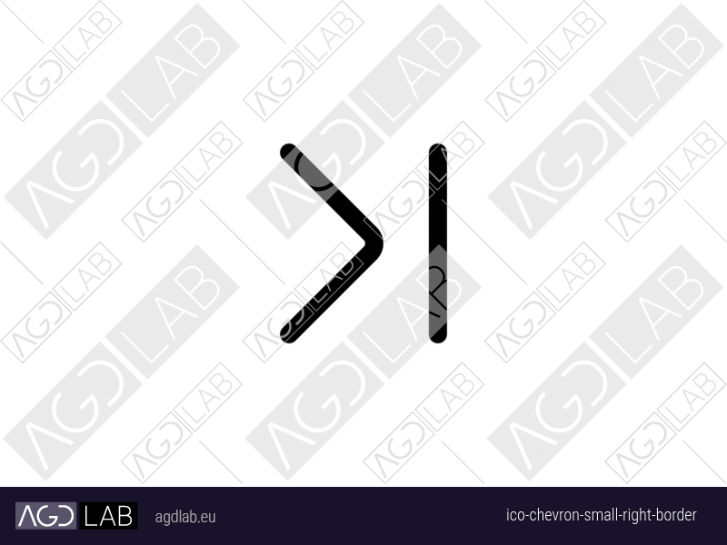 Chevron small right border icon