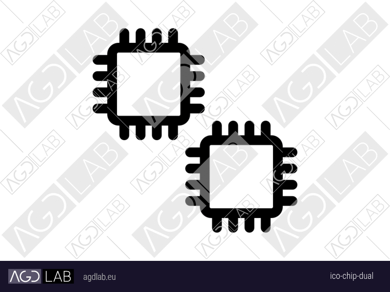 Chip dual icon