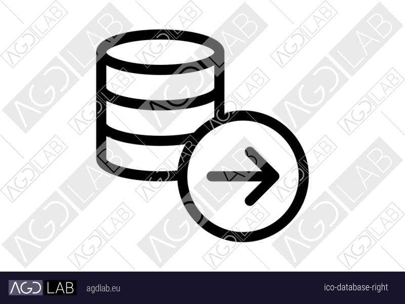 Database right icon