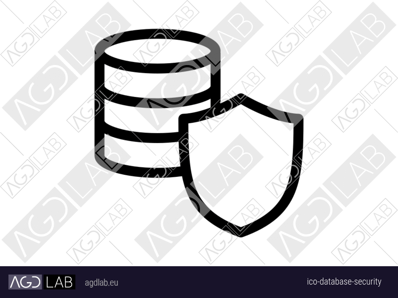Database security icon