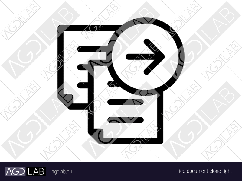 Document clone right icon