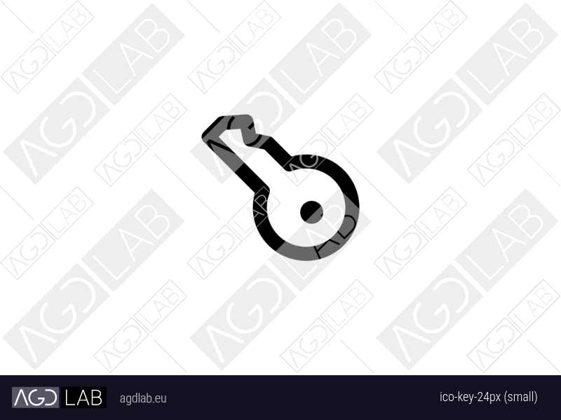 Key 24px (small) icon