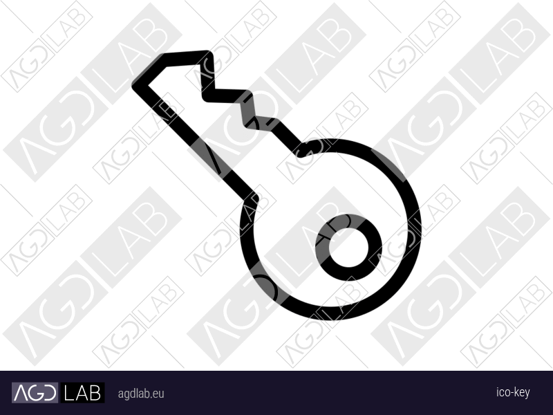 Key icon