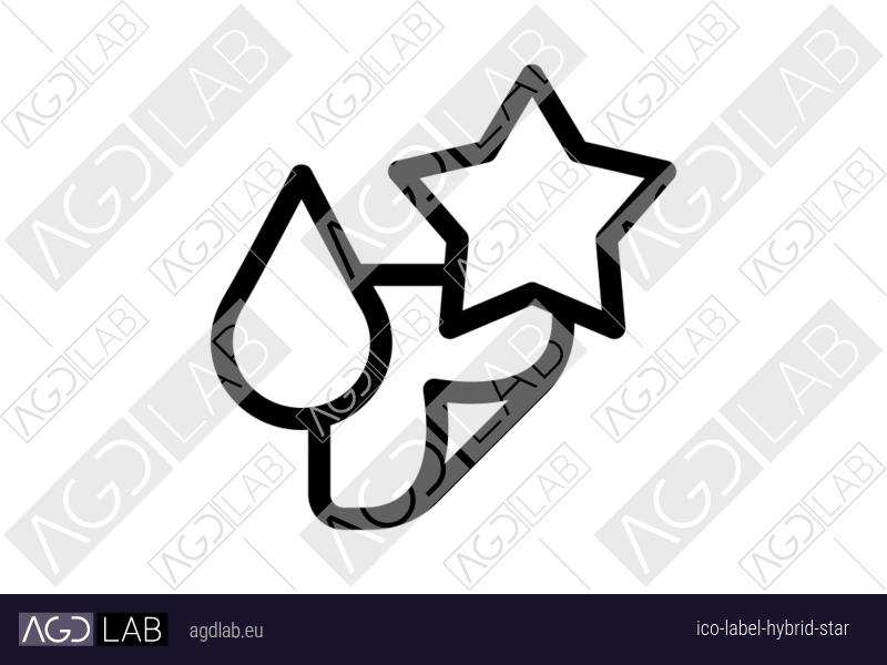 Label hybrid star icon