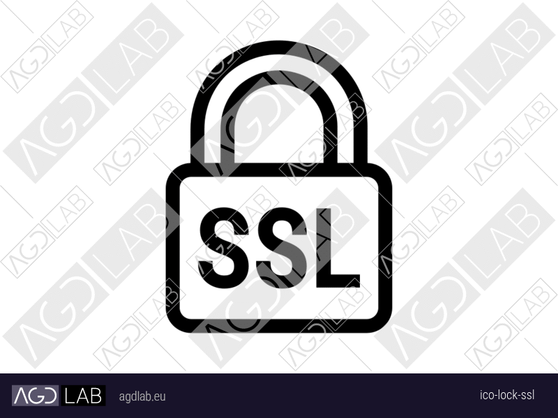 Lock SSL icon