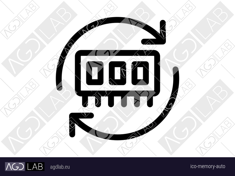 Memory auto icon