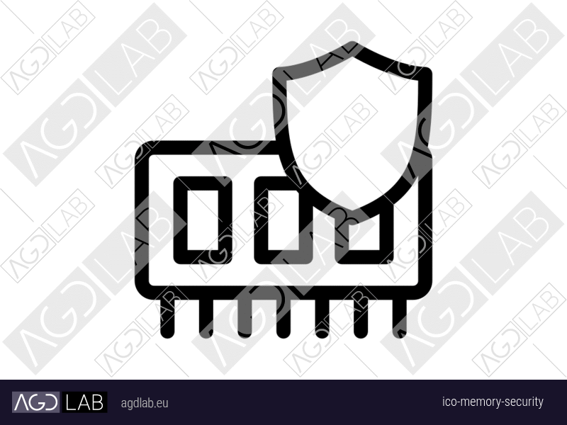 Memory security icon