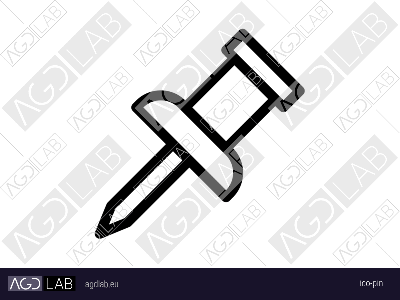 Pin icon