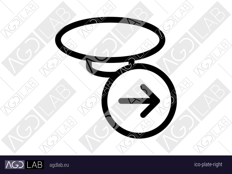 Plate right icon