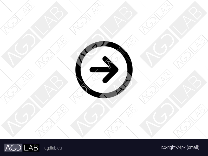 Right 24px (small) icon