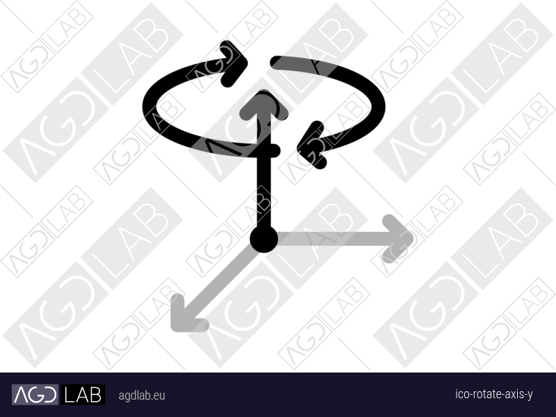 Rotate axis Y icon
