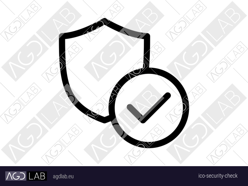 Security check icon