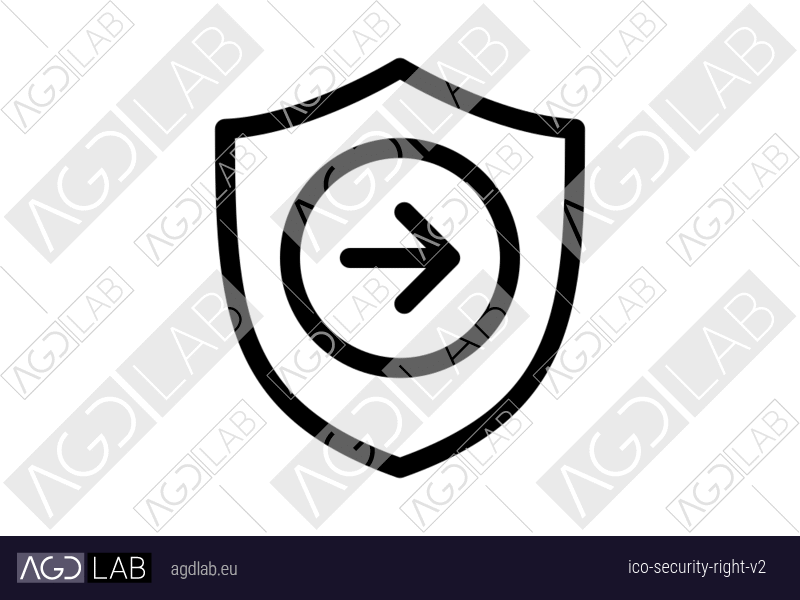Security right alternative version icon
