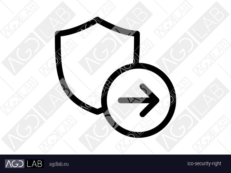 Security right icon