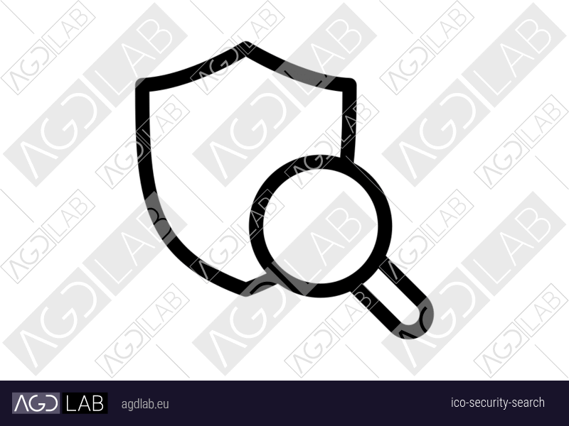 Security search icon