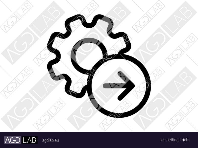 Settings right icon