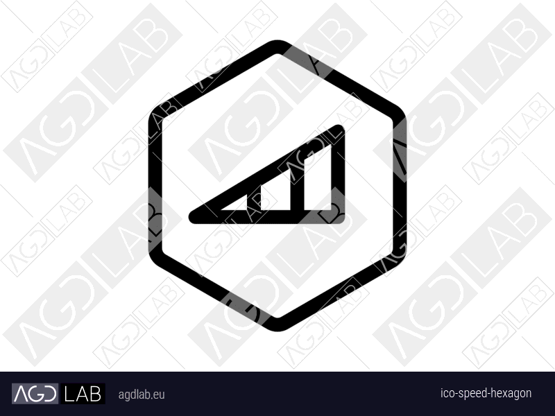 Speed hexagon icon