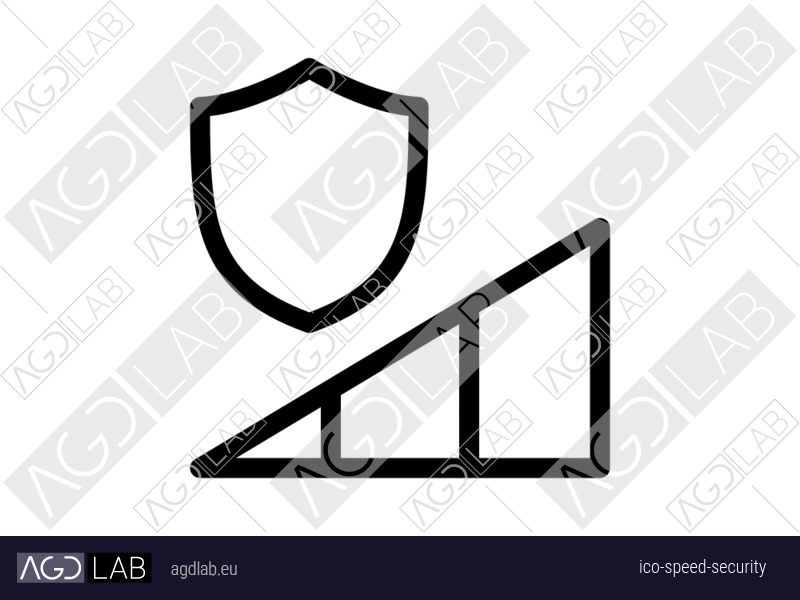 Speed security icon