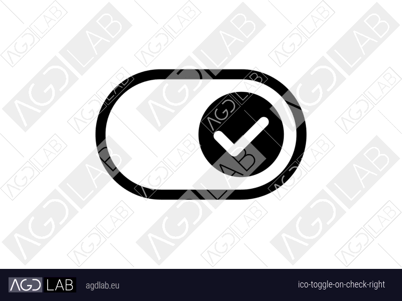 Toggle ON check right icon