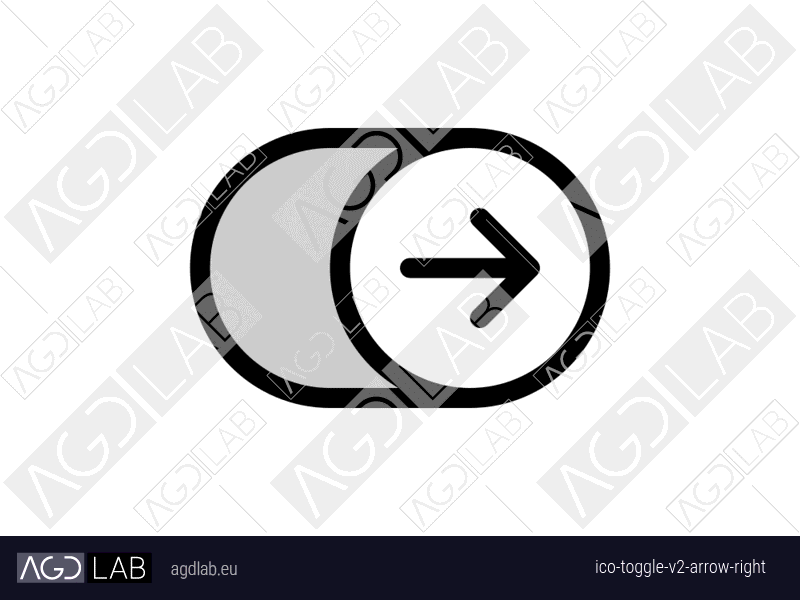 Toggle alternative version arrow right icon