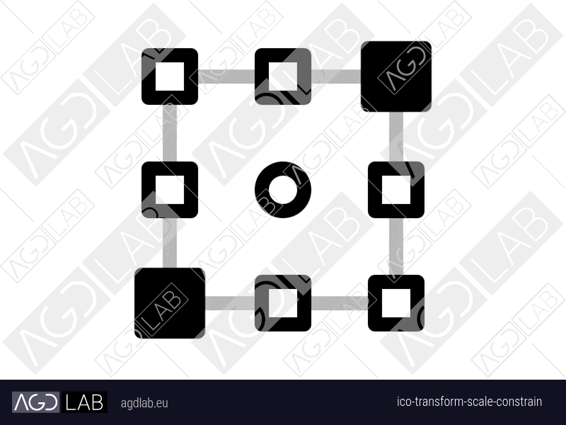 Transform scale constrain icon