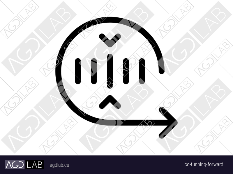 Tunning forward icon