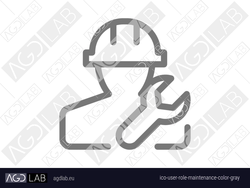 User role maintenance color gray icon
