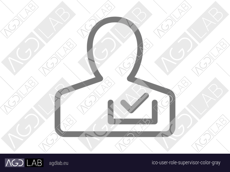 User role supervisor color gray icon