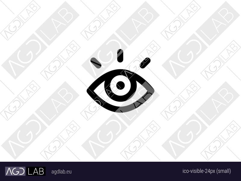 Visible 24px (small) icon