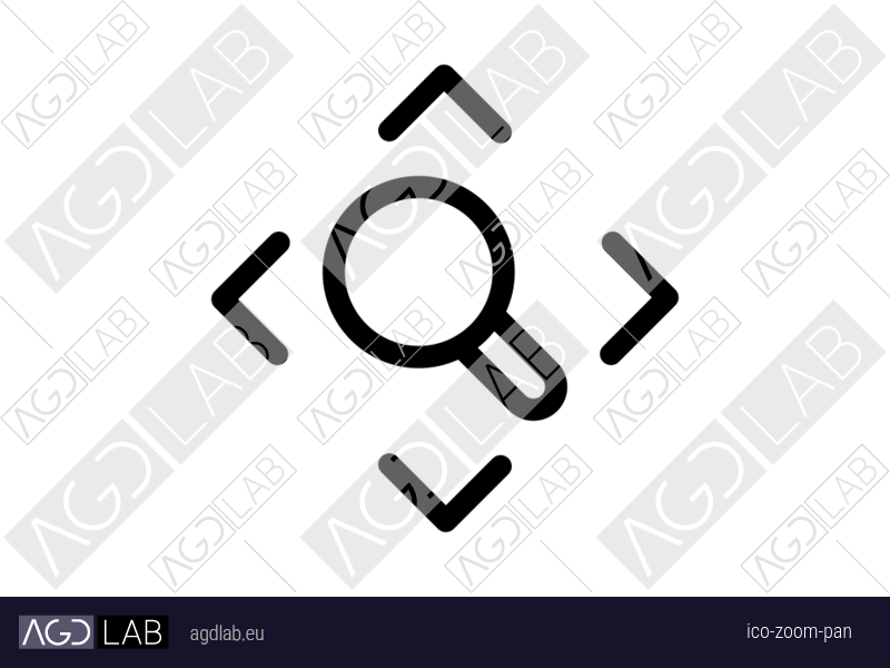 Zoom pan icon